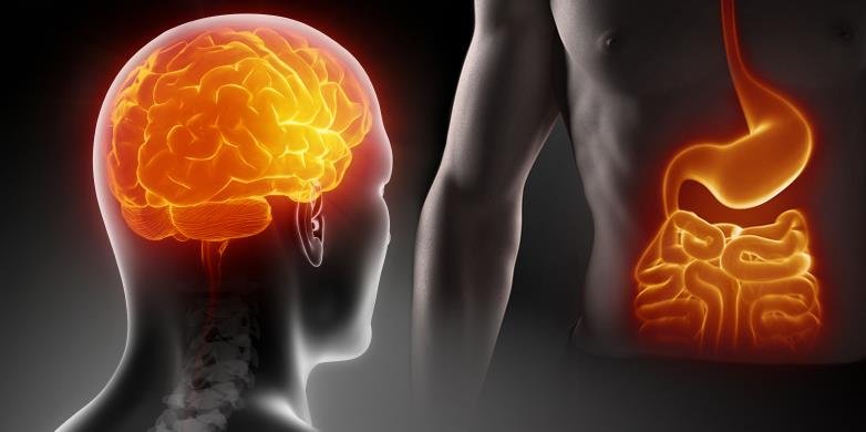 دراسة: اضطرابات القلق قد تبدأ من المعدة لا من الدماغ